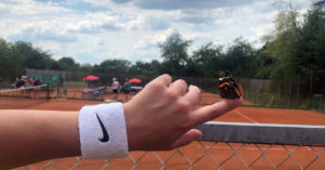 Read more about the article Damen – Heißer Spieltag in Crailsheim